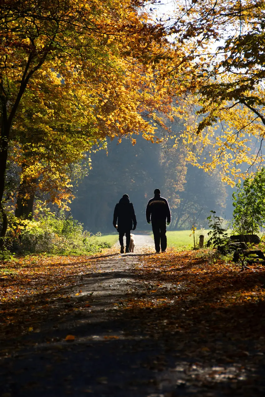 Two people walking together on a tree lined path